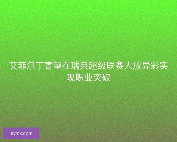 艾菲尔丁寄望在瑞典超级联赛大放异彩实现职业突破